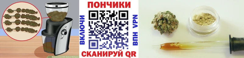 Cannafood конопля  как найти наркотики  Новый Уренгой 