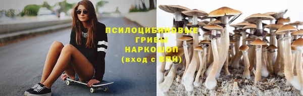 ПСИЛОЦИБИНОВЫЕ ГРИБЫ Нефтегорск