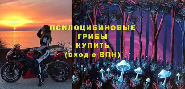 соль ск Новозыбков