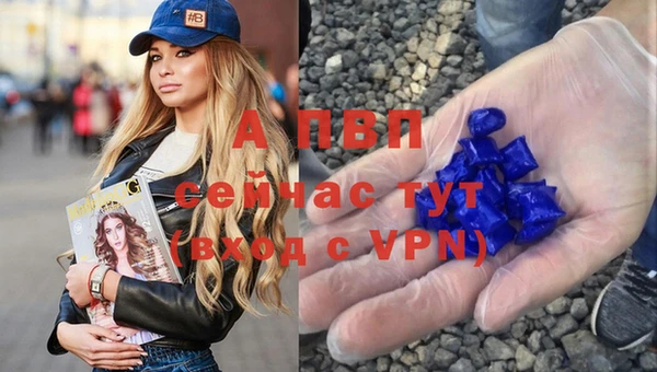 эйфоретик Надым