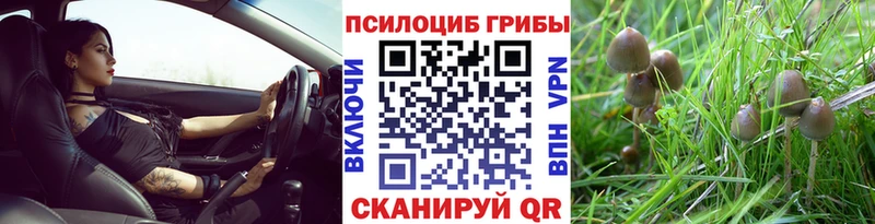 где продают наркотики  Новый Уренгой  Галлюциногенные грибы мицелий 