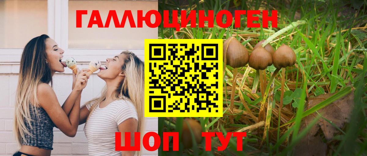 Новый Уренгой  Галлюциногенные грибы Psilocybine cubensis  цены   Вход с VPN 
