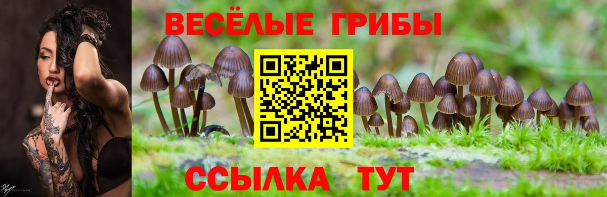 Псилоцибиновые грибы Psilocybine cubensis Новый Уренгой